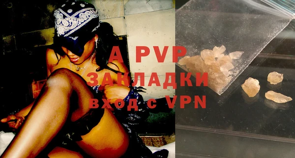 стафф Аркадак