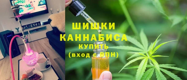 стафф Аркадак