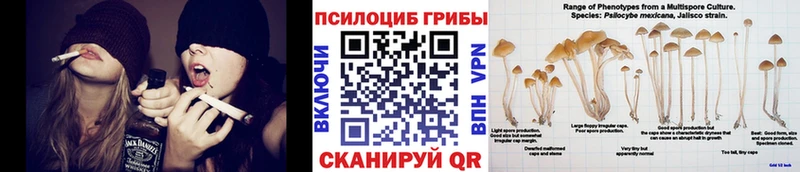 Псилоцибиновые грибы мухоморы хочу Пустошка
